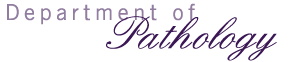 Department Title