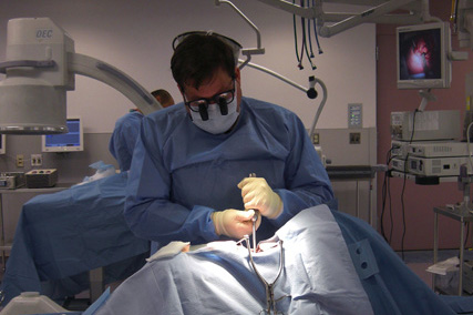 Russell C. Klein, M.D. (′59) Center for Advanced Practice - Stryker Spine - Lumbar Surgery : Demonstration Laboratory