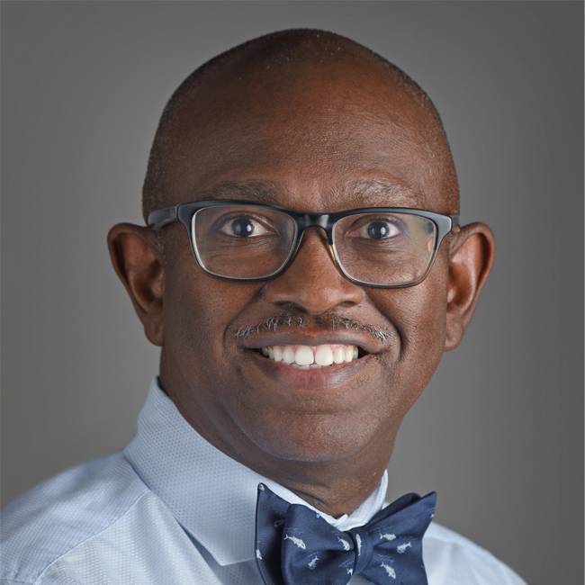 Professional studio headshot of a person wearing dark-framed glasses, a light blue dress shirt, and a navy blue bow tie with a subtle pattern. The person is facing the camera in a three-quarter pose against a plain gray background. Soft lighting highlights the face and clothing, creating a polished, professional portrait.