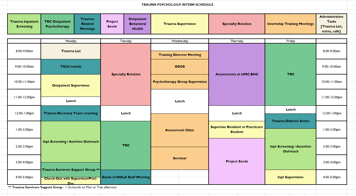 Trauma Intern Schedule