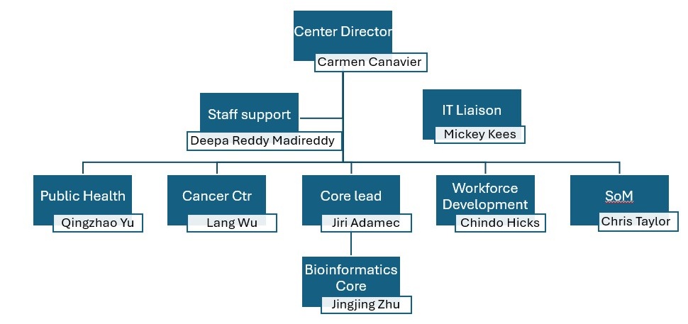 Organizational chart showing reporting relationships within a center. At the top is Center Director, Carmen Canavier. Reporting to the Center Director are Staff Support, Deepa Madireddy, and IT Liaison, Mickey Kees. A second tier includes Public Health, Qingzhao Yu; Cancer Ctr, Lang Wu; Core Lead, Jiri Adamec; Workforce Development, Chindo Hicks; and SoM, Chris Taylor (Assistant Director). Reporting to the Core Lead is Bioinformatics Core, Jingjing Zhu. The chart uses dark blue title boxes connected by lines, with names displayed in white boxes beneath each role.