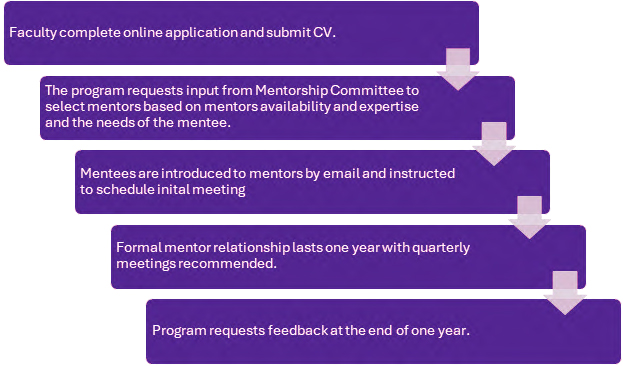 mentoring ladder