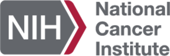 NIC_Logo