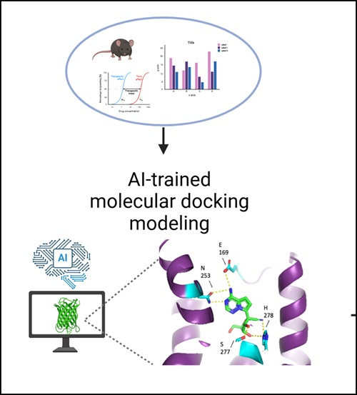 Computational drug discovery for immunotherapy