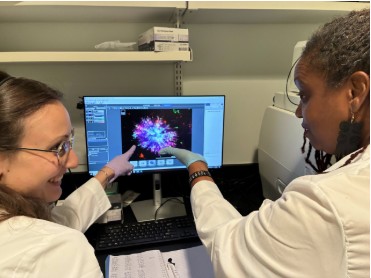 October 2025 - Laura's picture of an organoid was selected for the Agilent Calendar 2026 