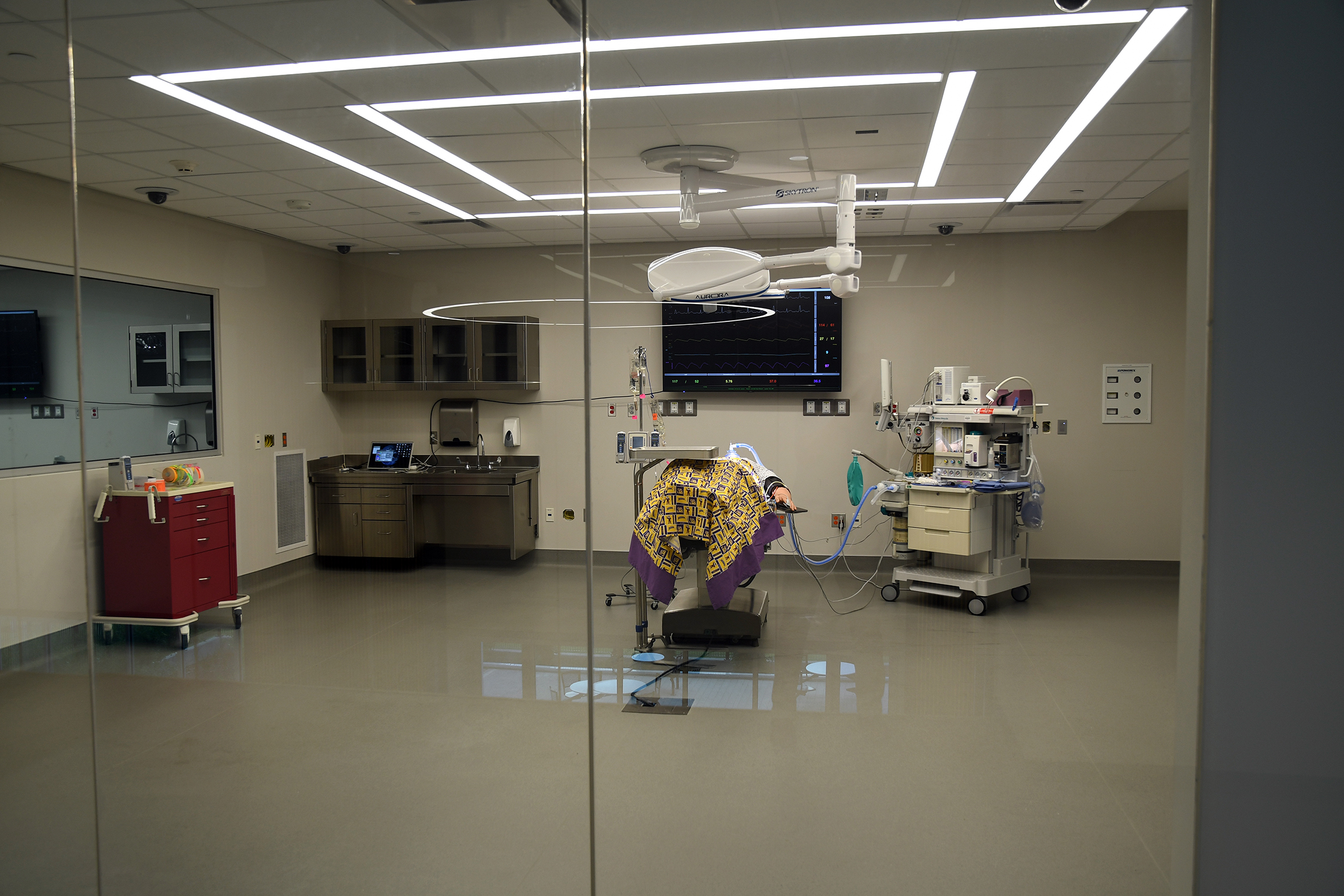 Surgical Room - Dry or Wet Simulation