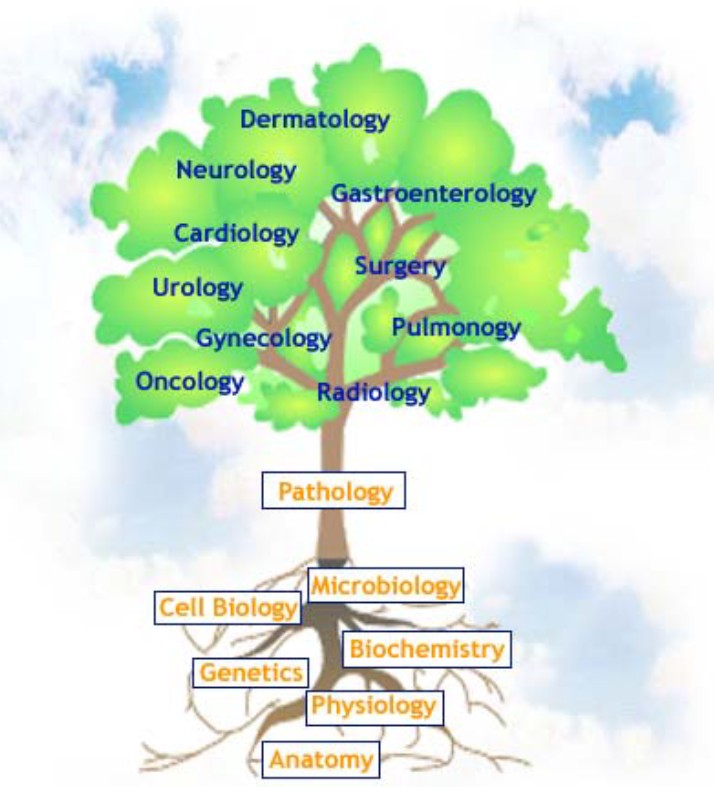 treeofpathology