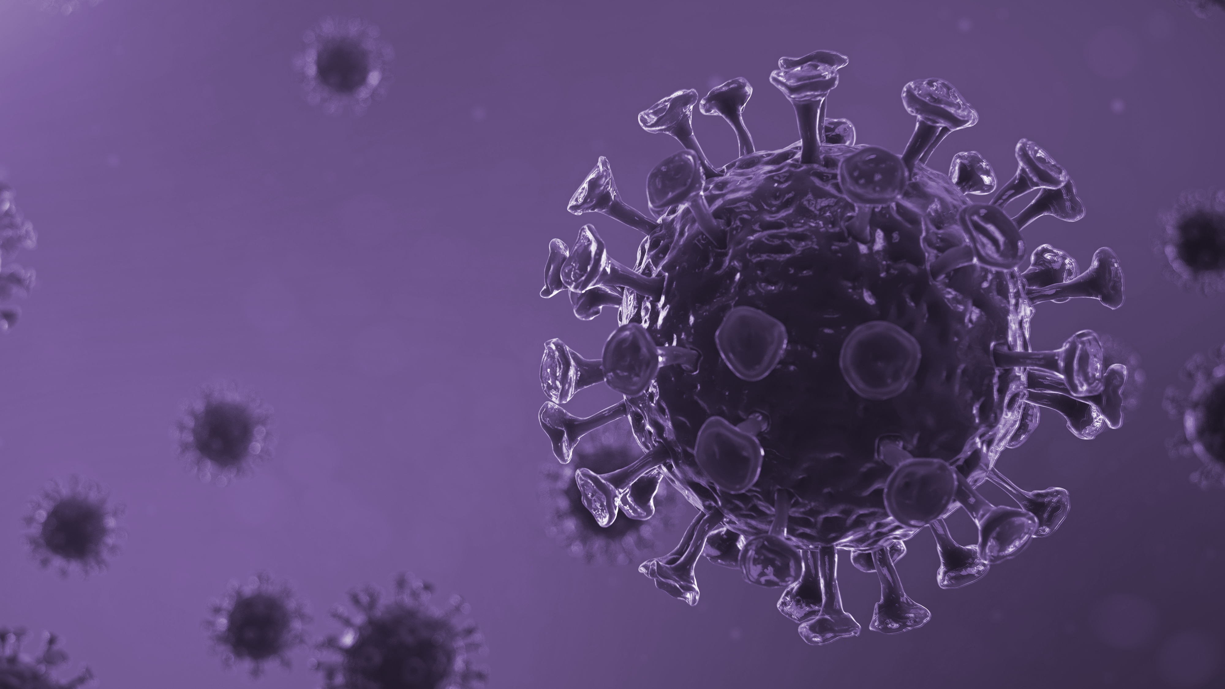 Close-up 3D illustration of several spherical virus particles with protruding spike-like structures, shown in shades of purple against a blurred background.
