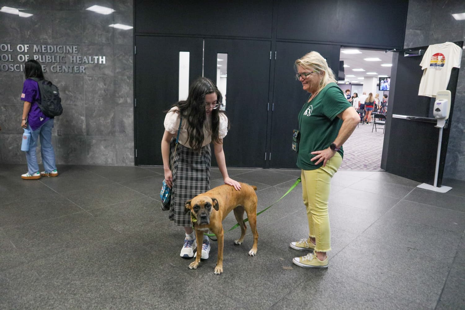 therapy dog