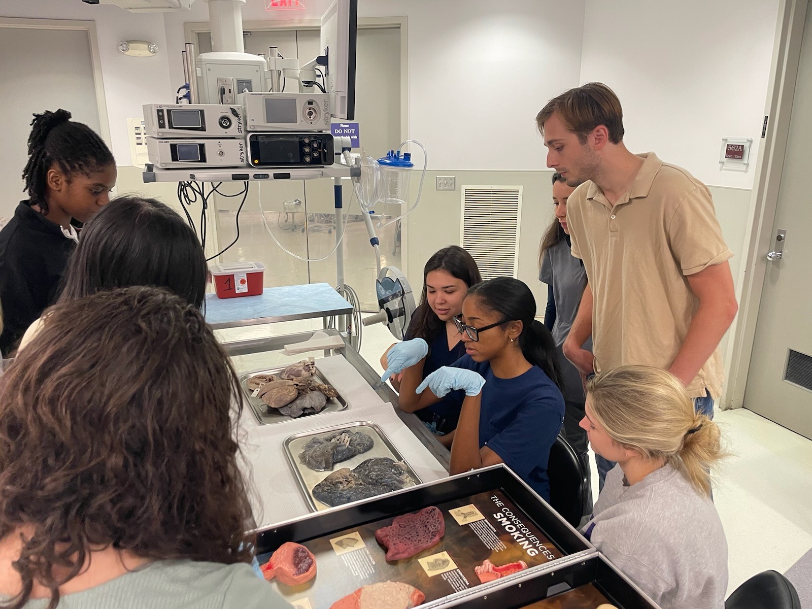 students look at samples